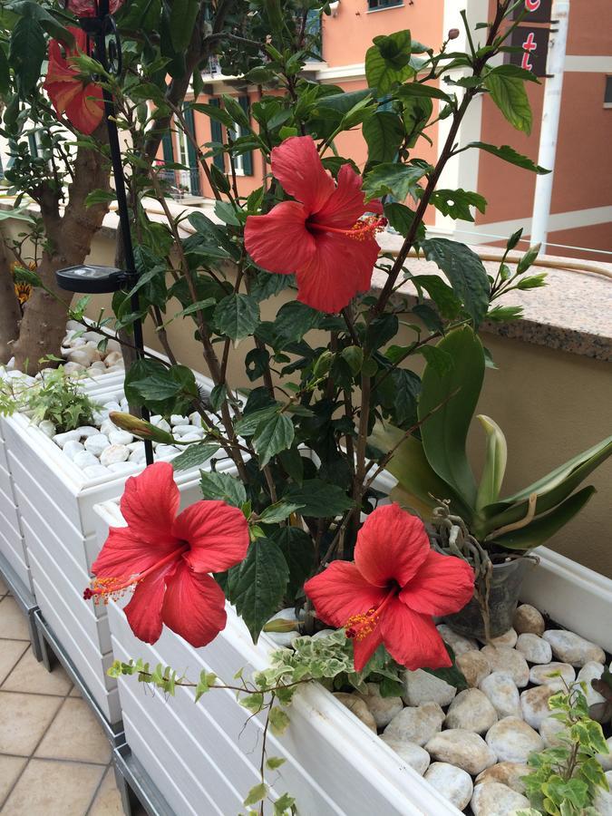 B&B Borgo Marina Bordighera Buitenkant foto
